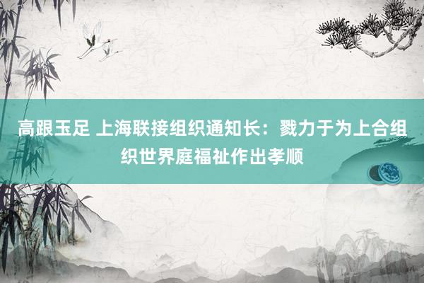 高跟玉足 上海联接组织通知长：戮力于为上合组织世界庭福祉作出孝顺